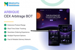 Flash Loan Arbitrage Bot